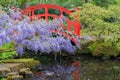 Traditional red bridge in Japanese garden in spring with Wisteria floribunda Royalty Free Stock Photo